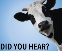 Memorial Blood Centers Welcomes Previously Deferred Donors Who Lived in Europe