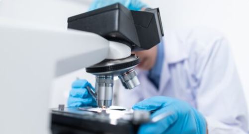 Male scientist observing a blood sample through a microscope.